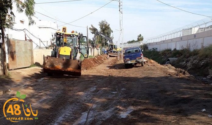 lud shaneer tarmem (1).jpg